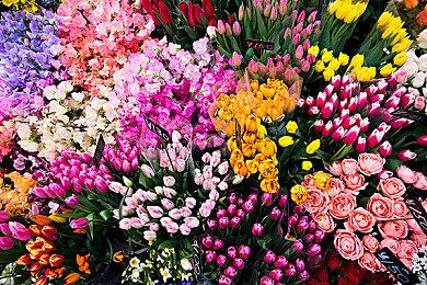 玩家来抉择 FPS游戏《原子之心》将提供两种不同的结局